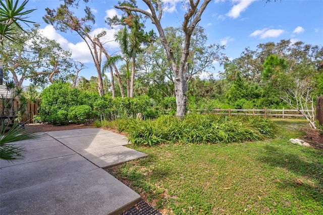 view of yard featuring a patio area