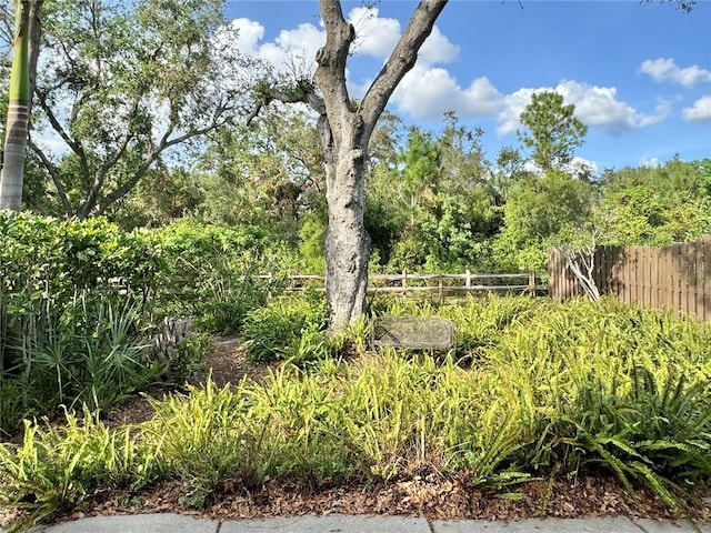 view of yard