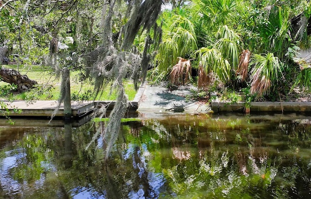 view of local wilderness