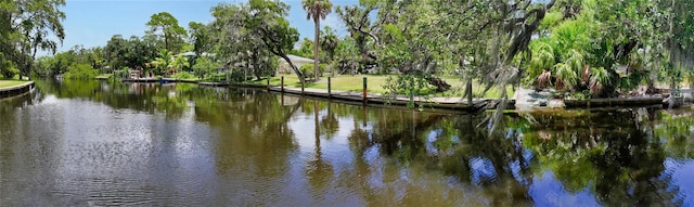 property view of water