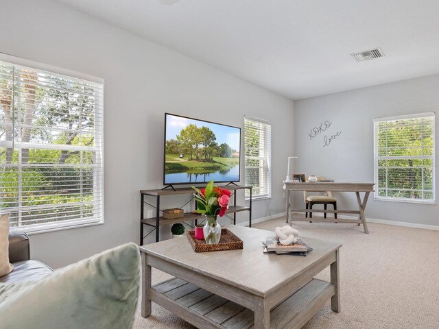 6205 Triple Tail Ct Unit 101, Lakewood Ranch, FL 34202 - photo 8
