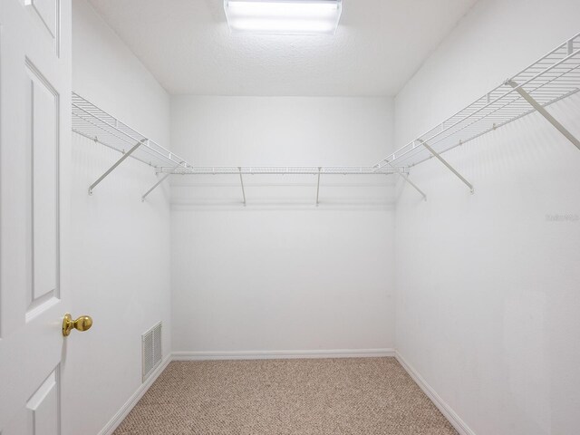 6205 Triple Tail Ct Unit 101, Lakewood Ranch, FL 34202 - photo 24