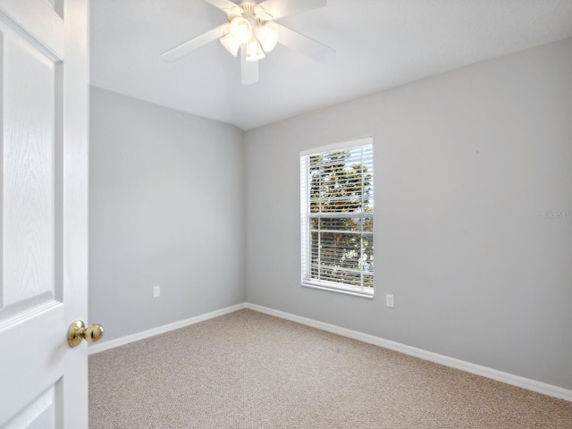 6205 Triple Tail Ct Unit 101, Lakewood Ranch, FL 34202 - photo 29