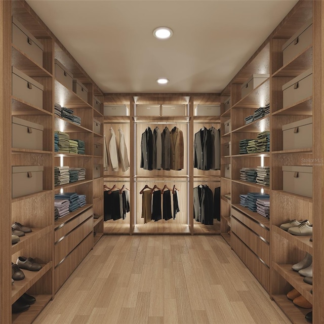 spacious closet with light hardwood / wood-style floors