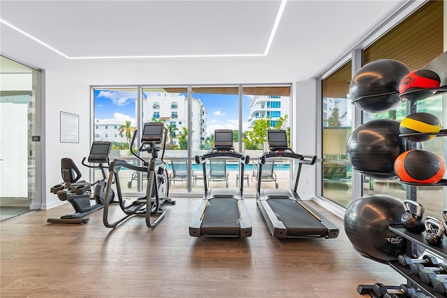 gym featuring expansive windows and hardwood / wood-style floors