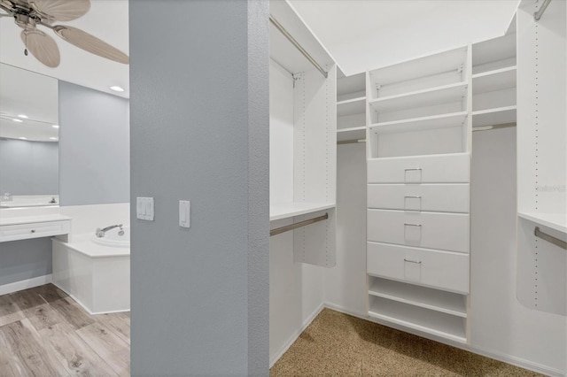 walk in closet with ceiling fan and light wood-type flooring