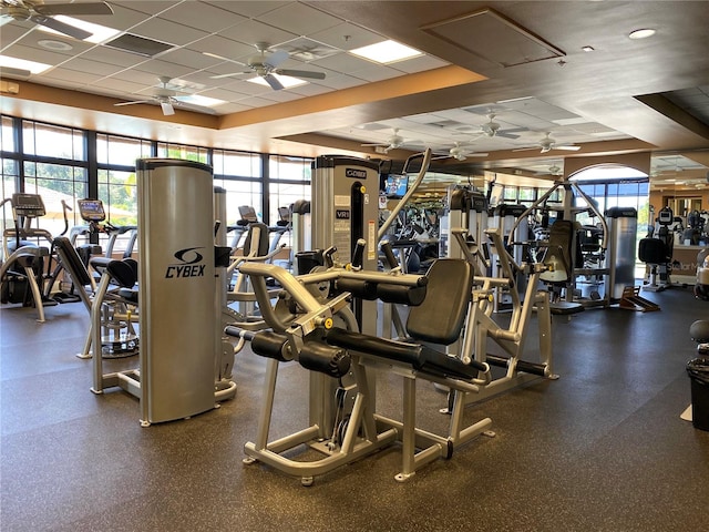 gym featuring plenty of natural light, a paneled ceiling, and ceiling fan