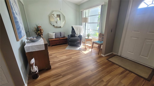 foyer entrance with hardwood / wood-style flooring and a healthy amount of sunlight