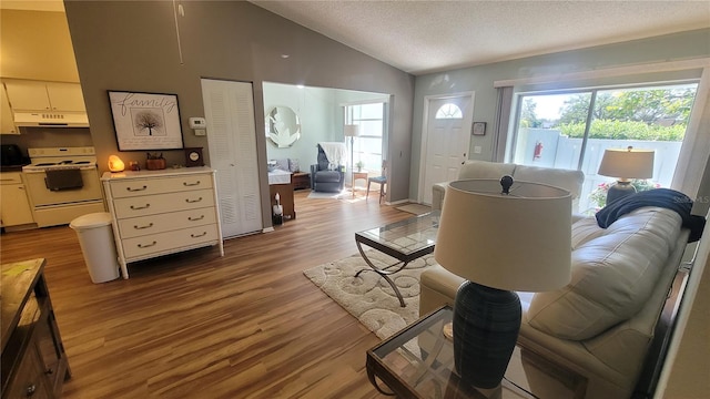 living room with hardwood / wood-style floors, lofted ceiling, and a textured ceiling