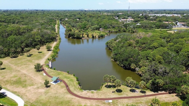 bird's eye view with a water view