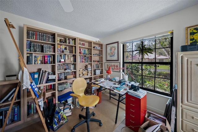 home office with a textured ceiling