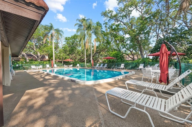 view of swimming pool featuring a patio