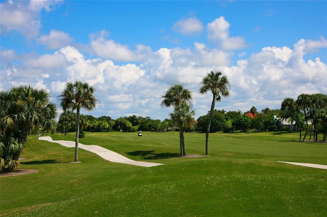 view of community featuring a lawn