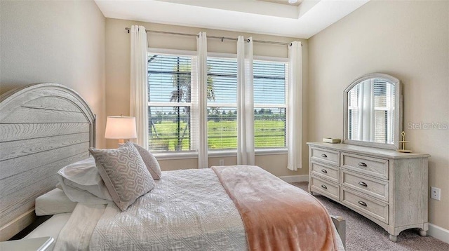 carpeted bedroom with multiple windows