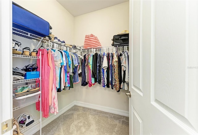 spacious closet featuring carpet