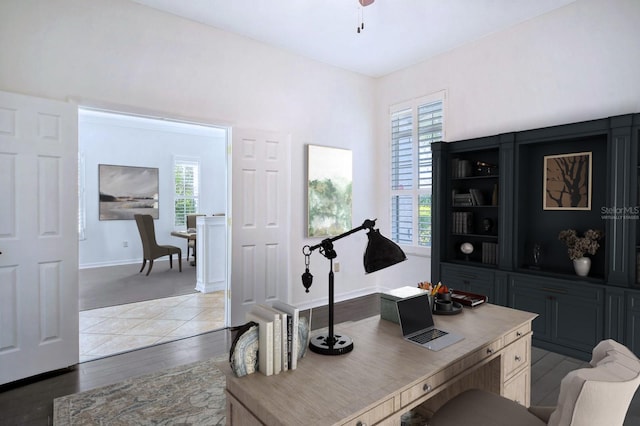 office area featuring hardwood / wood-style floors and plenty of natural light