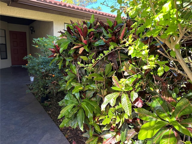 3711 Pinecone Ct Unit 168, Sarasota, FL 34238 - exterior view of stucco siding