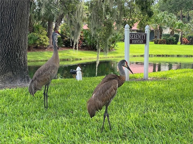 3711 Pinecone Ct Unit 168, Sarasota, FL 34238 - view of home's community featuring a lawn and a water view