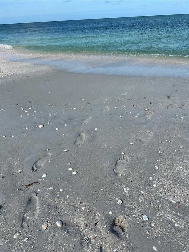 3711 Pinecone Ct Unit 168, Sarasota, FL 34238 - water view featuring local beach