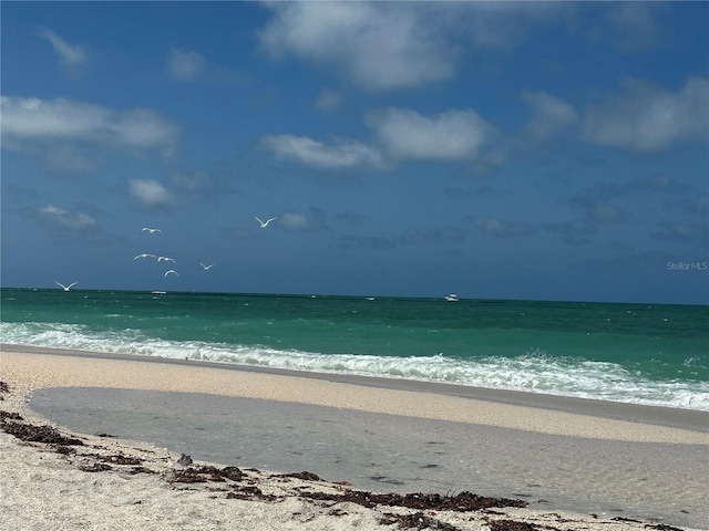 3711 Pinecone Ct Unit 168, Sarasota, FL 34238 - water view with local beach