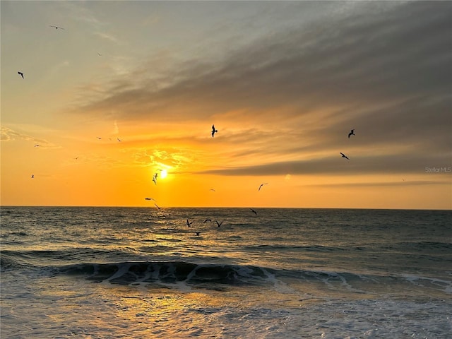 3711 Pinecone Ct Unit 168, Sarasota, FL 34238 - water view