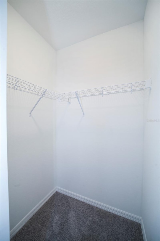 walk in closet with carpet