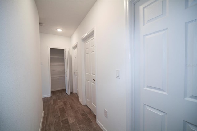 hall featuring dark wood-type flooring