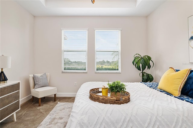 bedroom featuring light colored carpet and a raised ceiling