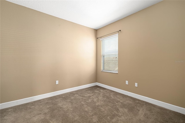 empty room featuring carpet