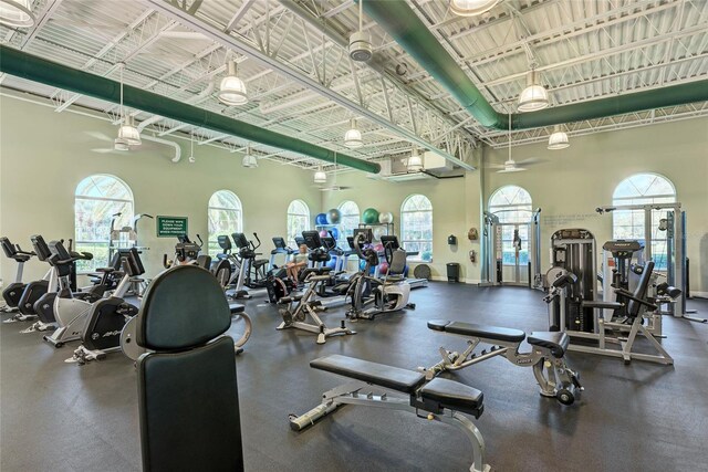 1509 Raphis Royale Blvd, Englewood, FL 34223 - gym featuring plenty of natural light and a towering ceiling