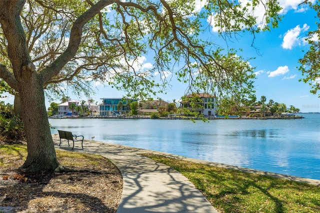 property view of water