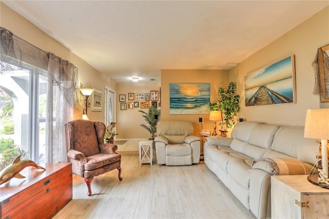 living room featuring light wood-type flooring