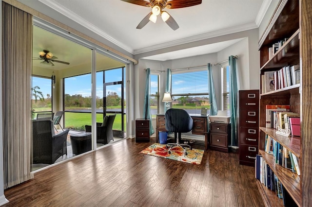 office area featuring ceiling fan, a healthy amount of sunlight, dark hardwood / wood-style flooring, and ornamental molding