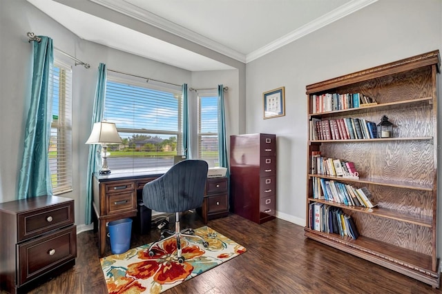 office featuring dark hardwood / wood-style flooring and crown molding