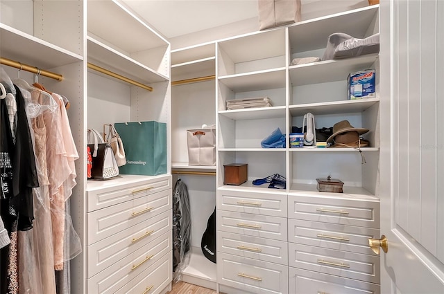 view of spacious closet