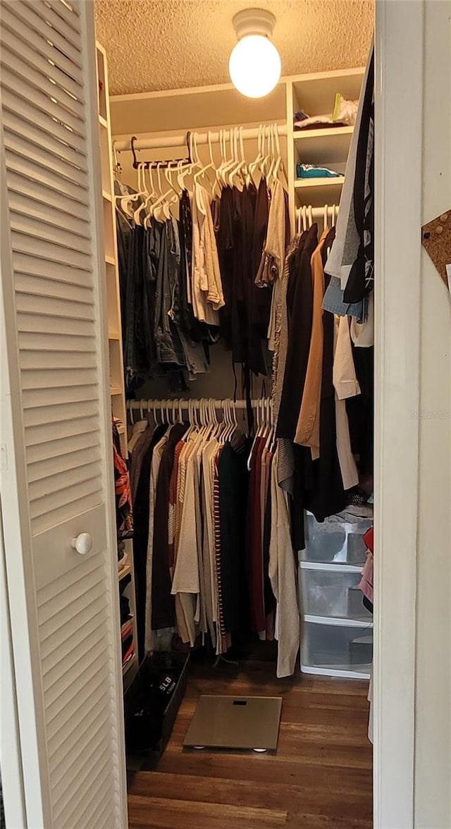 walk in closet with dark wood-type flooring