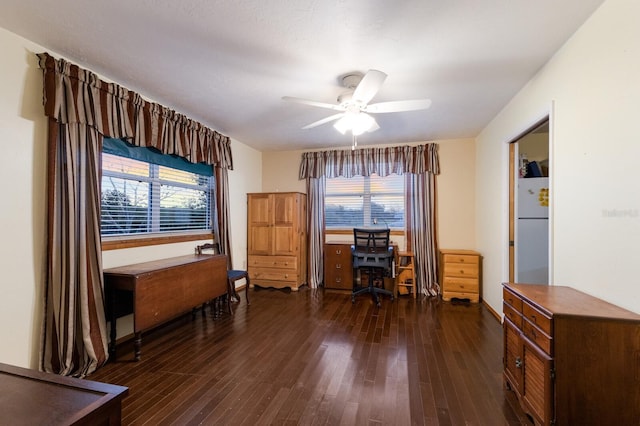 1640 Center Rd, Terra Ceia, FL 34250 - home office with dark wood-style floors and a ceiling fan