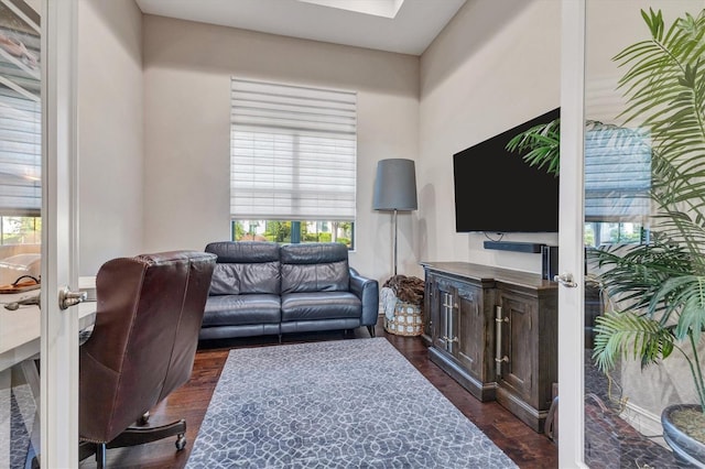 living room featuring dark wood-type flooring