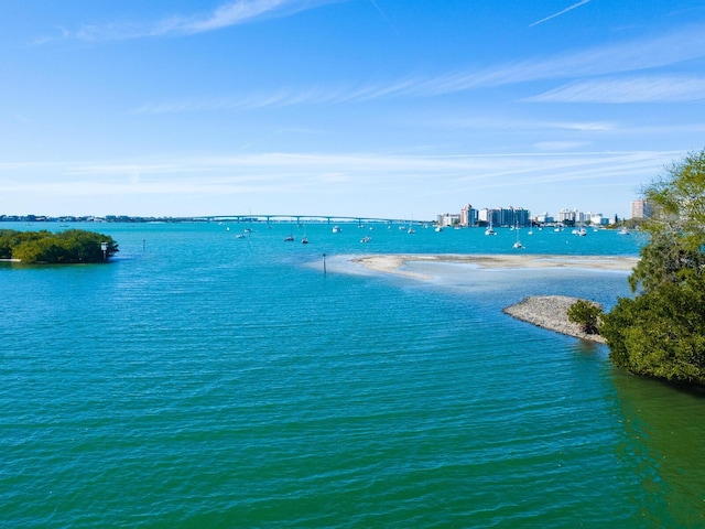 water view featuring a beach view