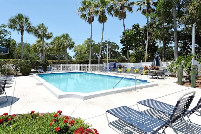 view of pool with a patio area