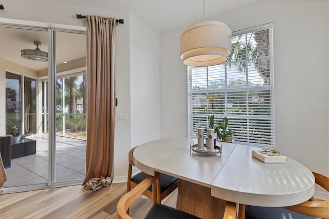 dining area with light hardwood / wood-style floors and a healthy amount of sunlight