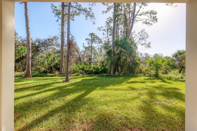2814 Daphne Rd, North Port, FL 34288 - view of green lawn