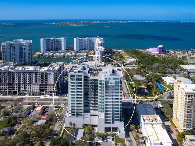 aerial view with a water view