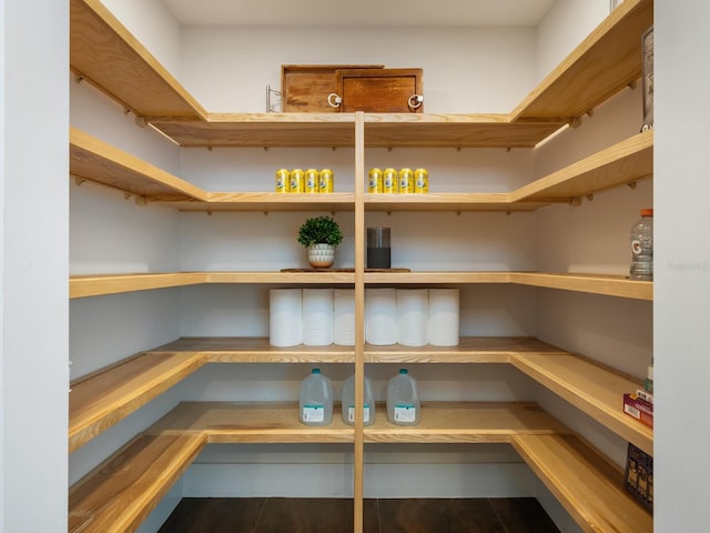 view of pantry