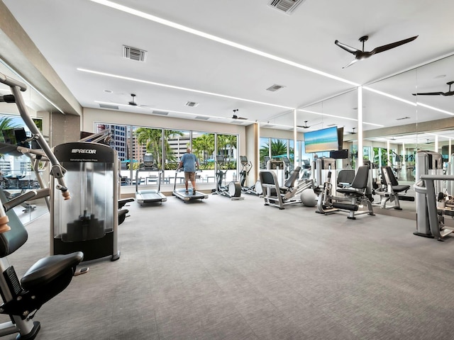 gym featuring ceiling fan and carpet floors