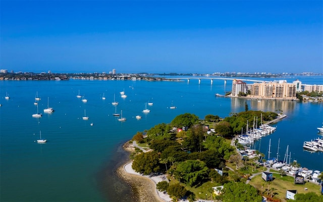 bird's eye view featuring a water view