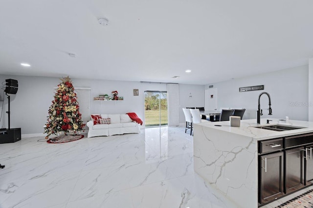 kitchen with sink, light stone counters, and a center island with sink