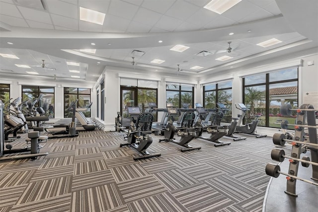 gym featuring a drop ceiling and carpet