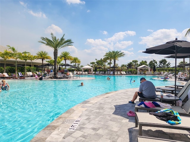 view of swimming pool featuring a patio