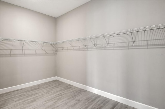 walk in closet featuring wood-type flooring